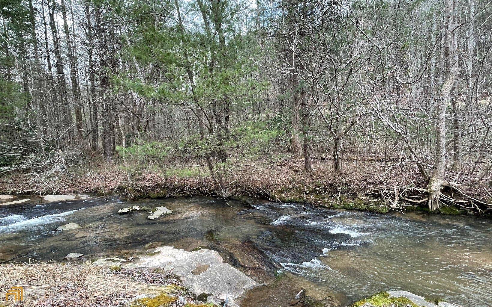 Blairsville, GA 30512,9.36 AC Highway 515