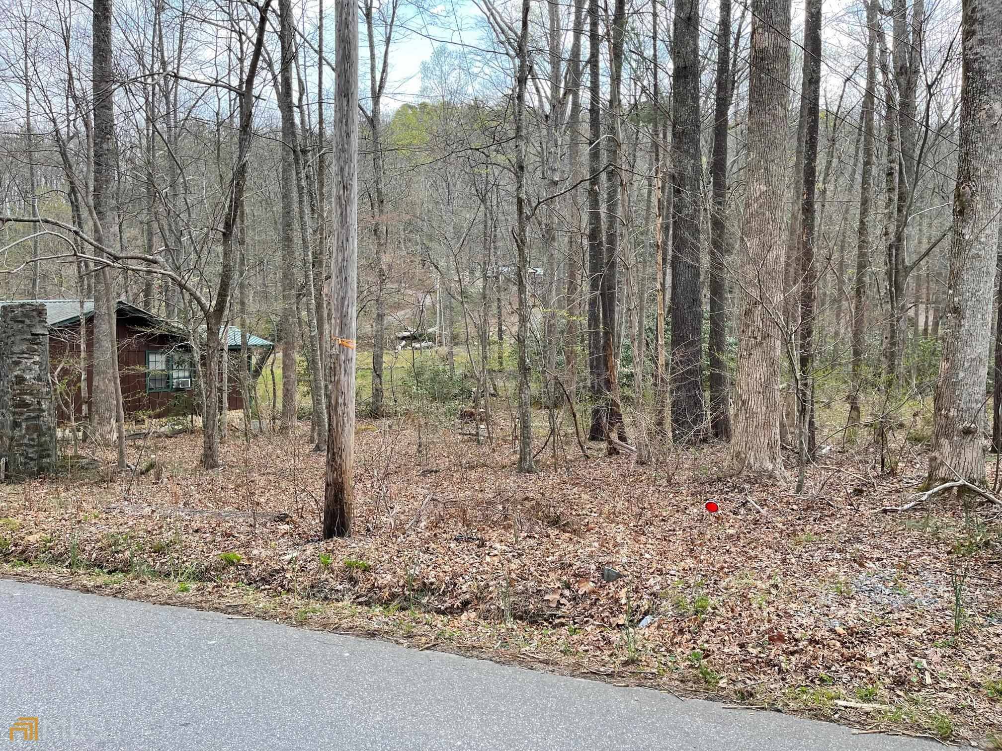 Hiawassee, GA 30546,0 Gander Gap Rd Lot 127