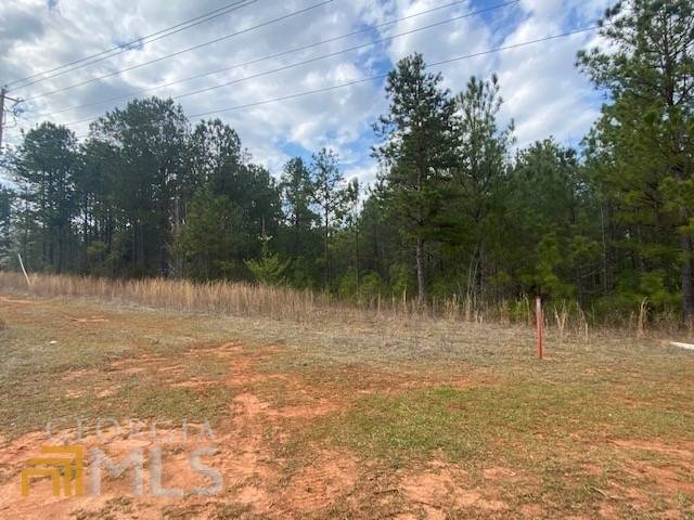 West Point, GA 31833,0 O G Skinner DR #5.628 ACRES