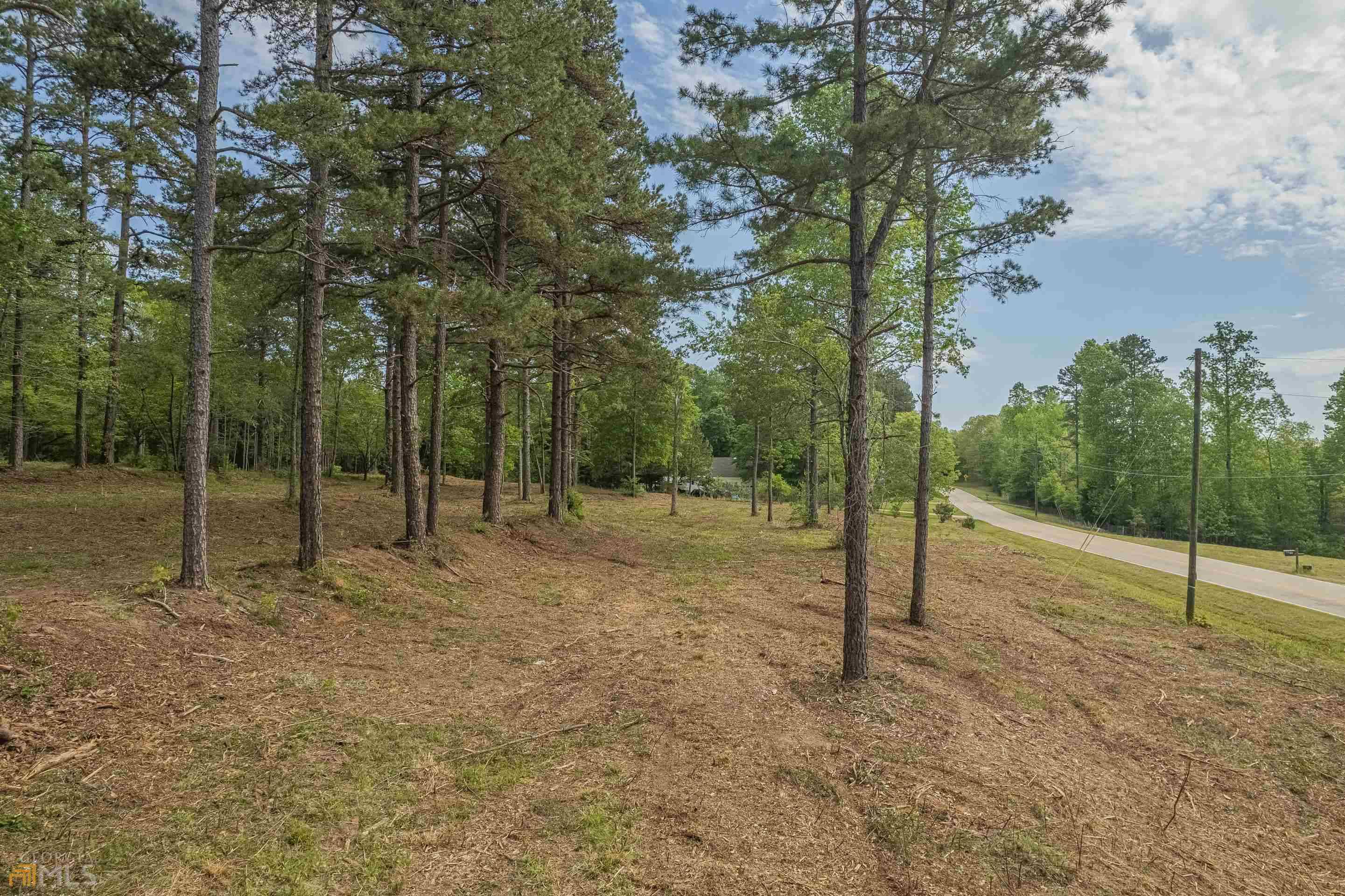 Martin, GA 30577,5.3 ACRES Hardy Farms Road