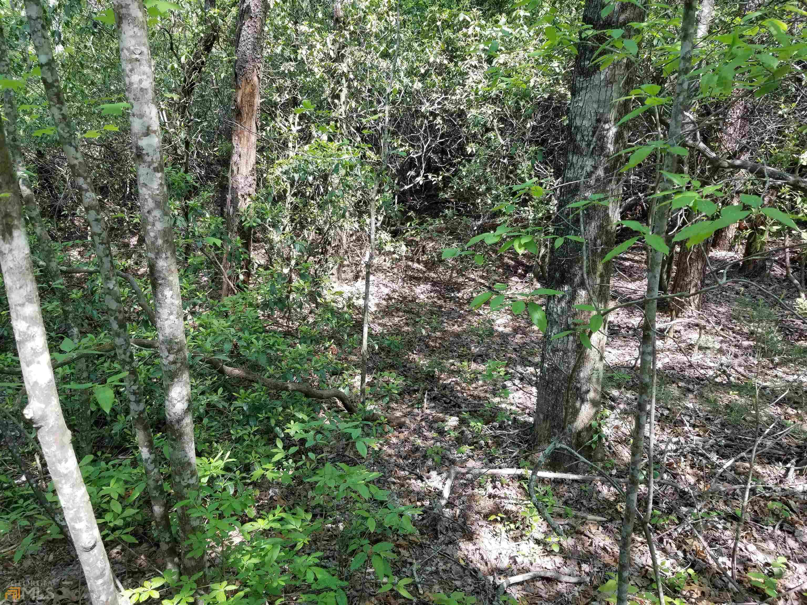 Sautee Nacoochee, GA 30571,LOT 6 Sara Lane