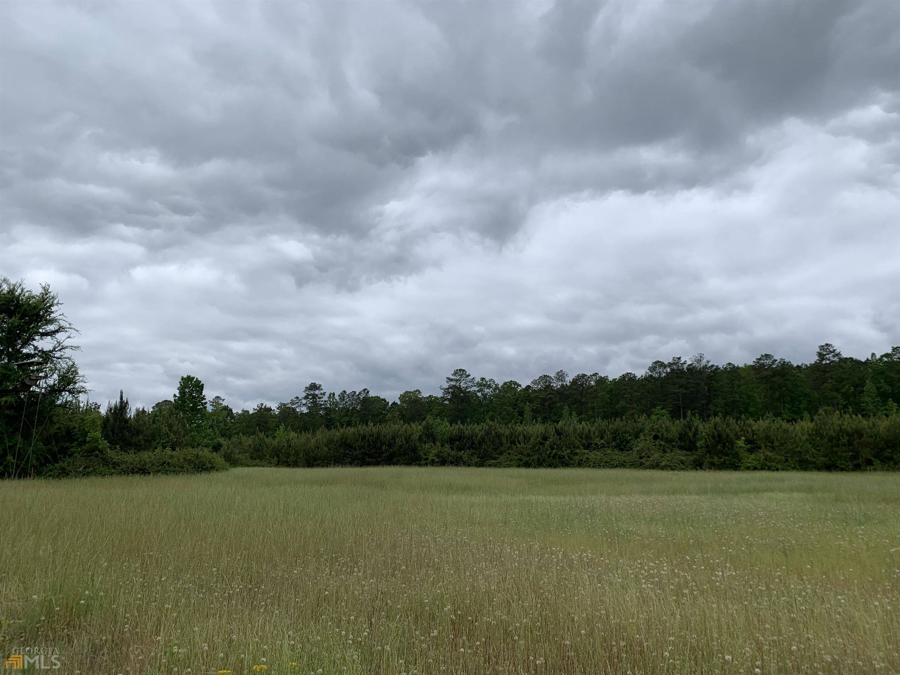 Hogansville, GA 30230,153 AC Bob Purgason RD