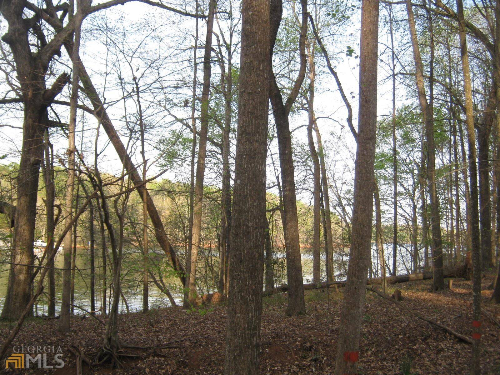 Lavonia, GA 30553,LOT 11 Riverbend RD