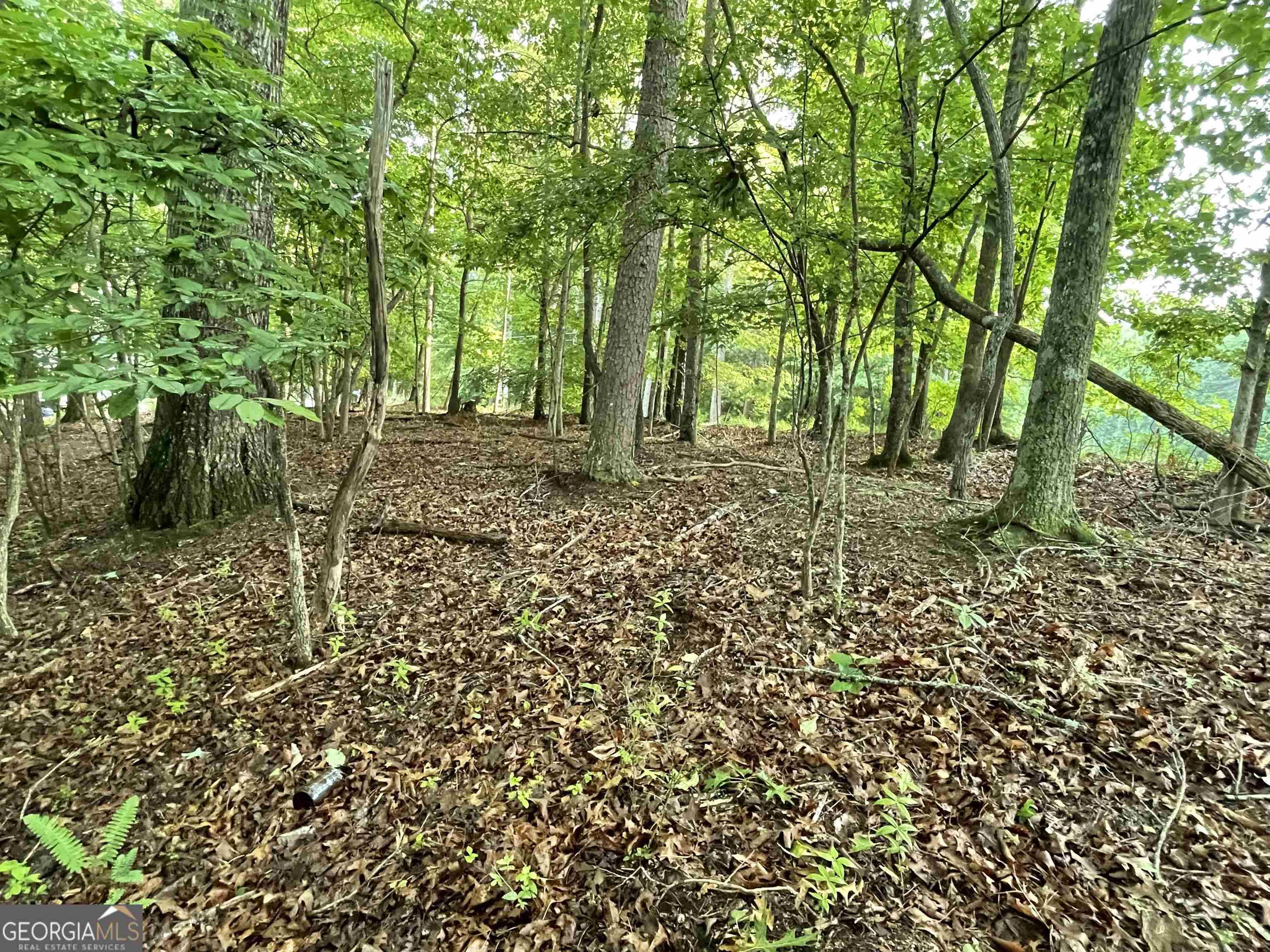 Dahlonega, GA 30533,LOT 16 Calhoun Road