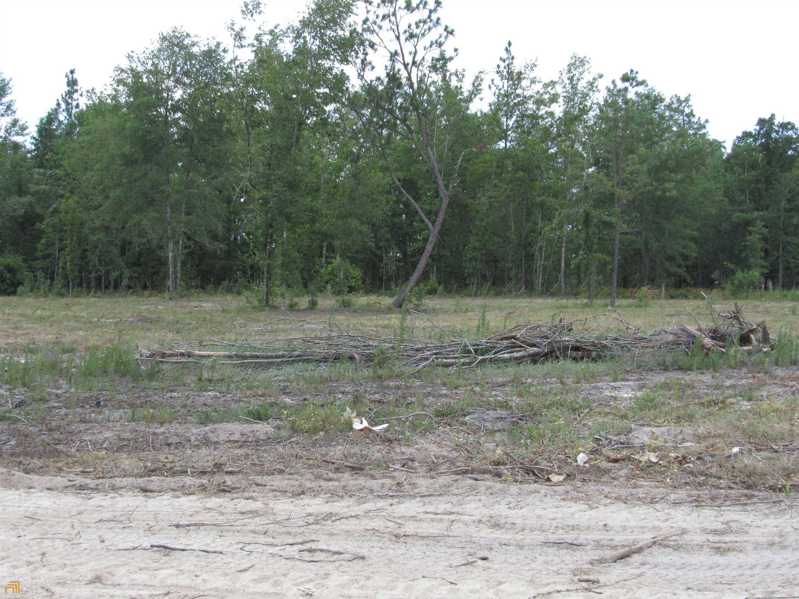 Swainsboro, GA 30401,1150 Paris AVE