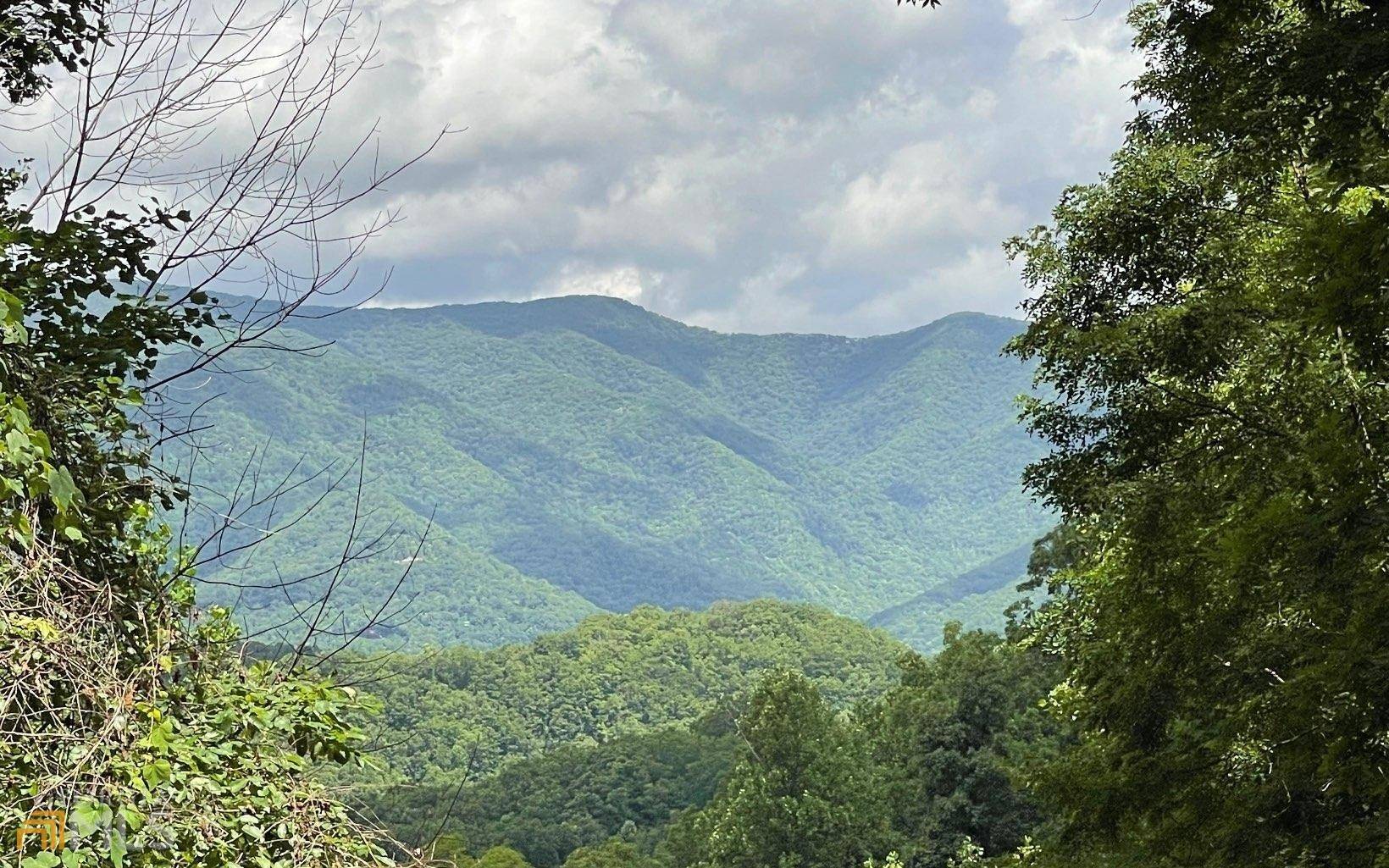 Hayesville, NC 28904,LOT 5 North RDG