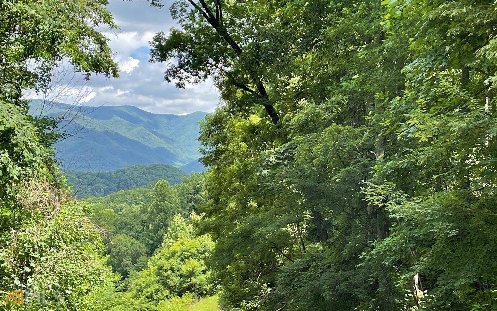 Hayesville, NC 28904,LOT 5 North RDG