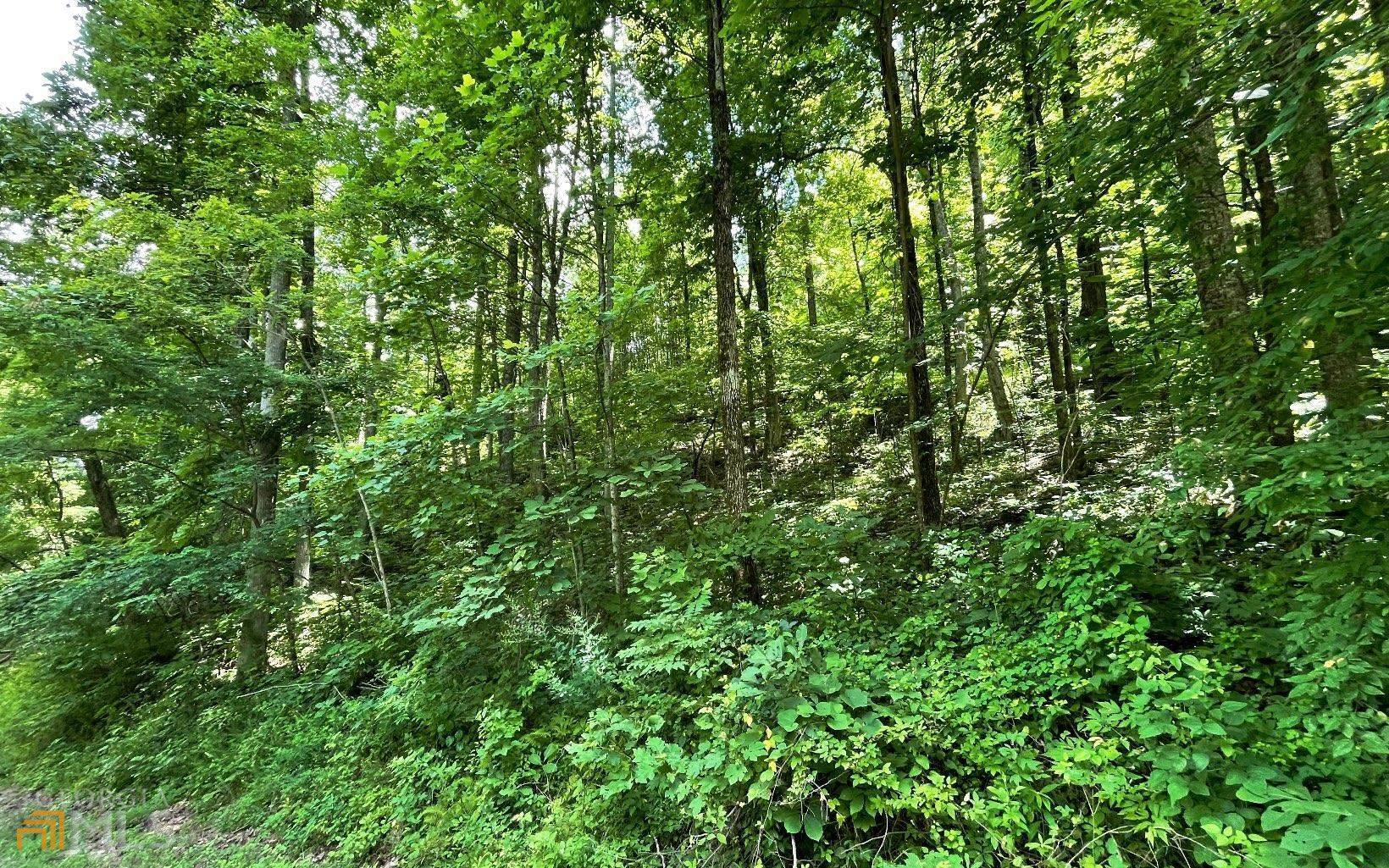 Hayesville, NC 28904,LOT 5 North RDG