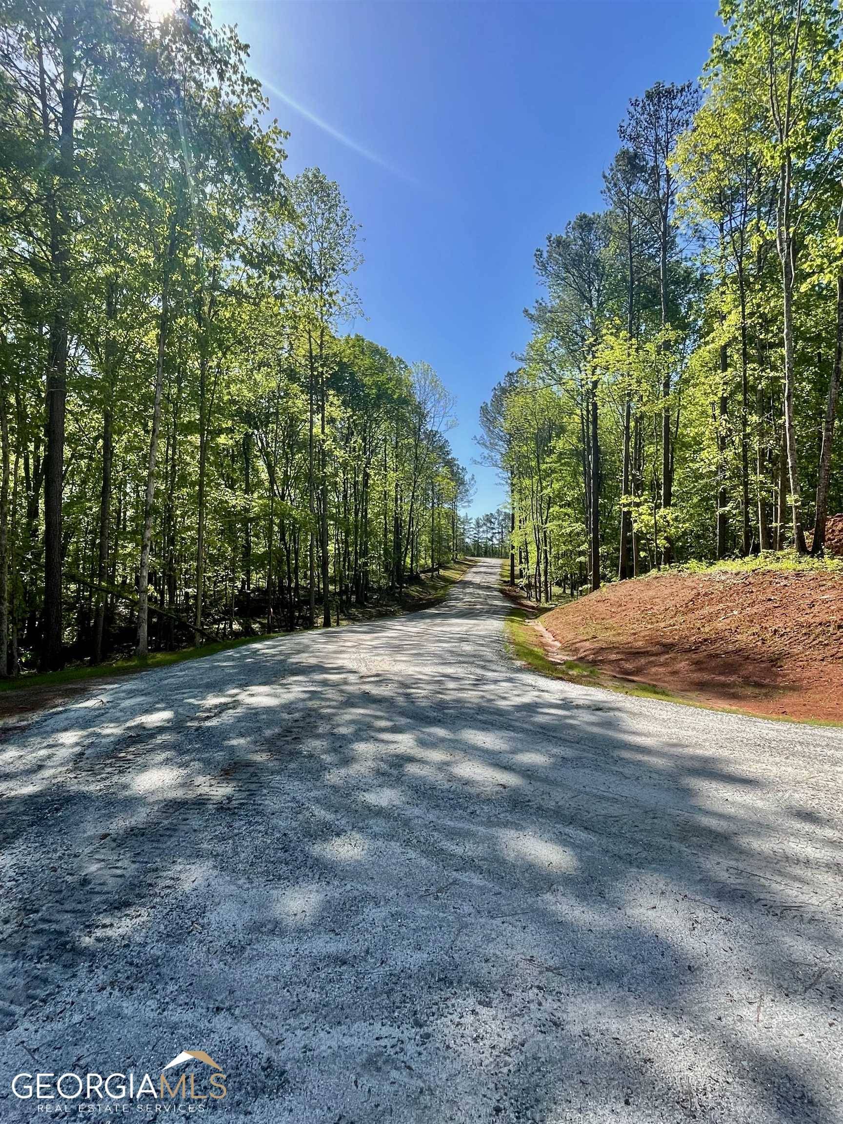 Moreland, GA 30259,0 Bears Bend