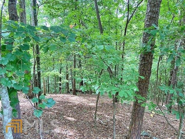 Dahlonega, GA 30533,0 (LOT 22) Calhoun