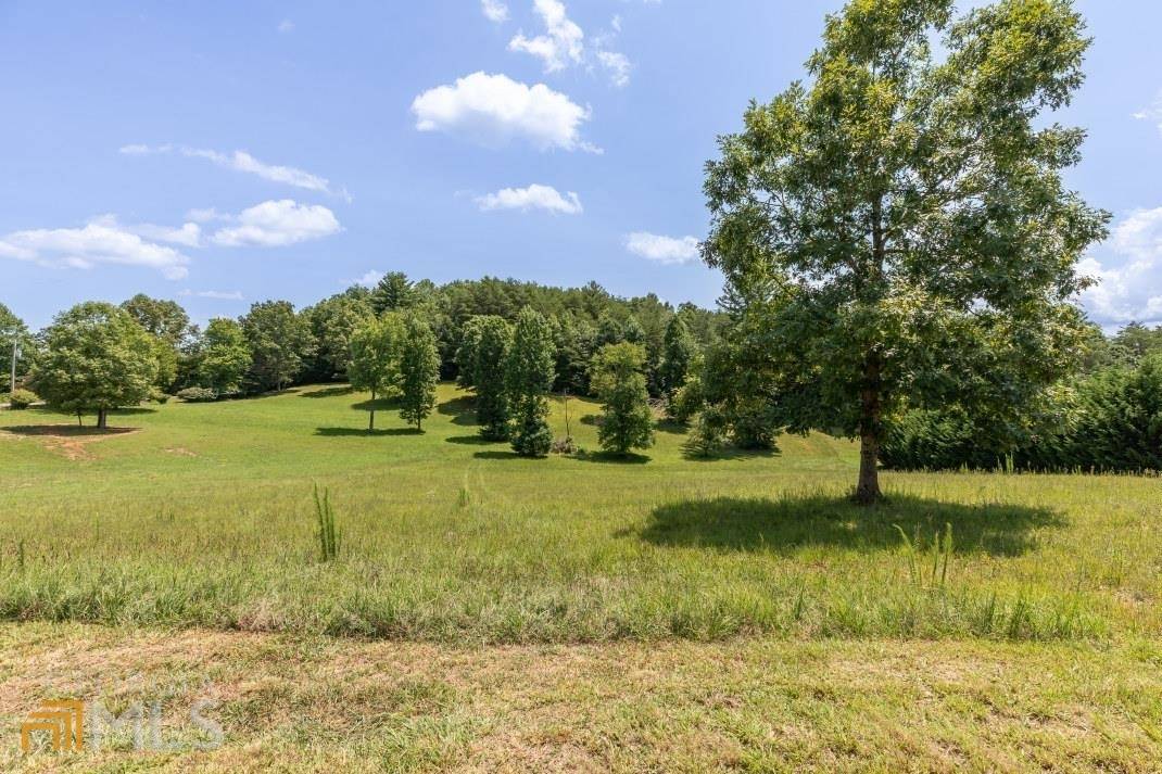 Morganton, GA 30560,LOT 21 Emelia Estates