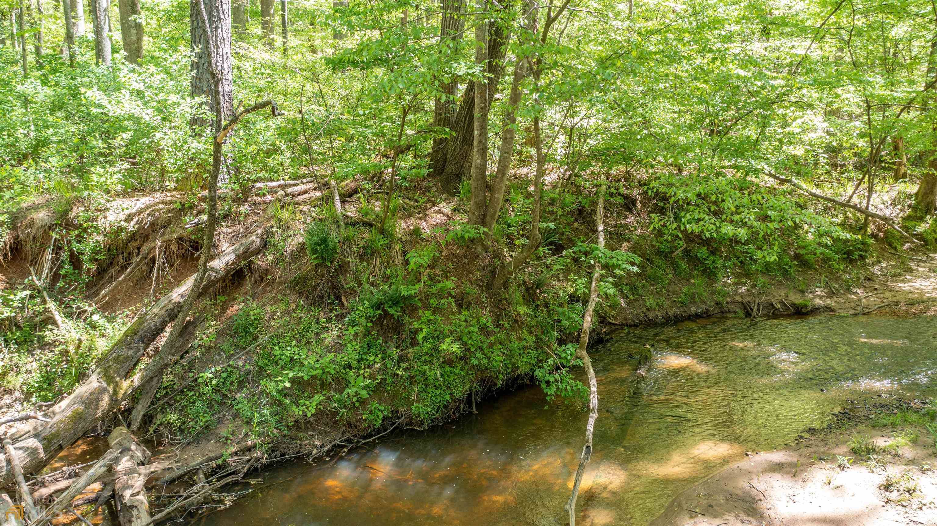 Newnan, GA 30263,0 Buddy West RD