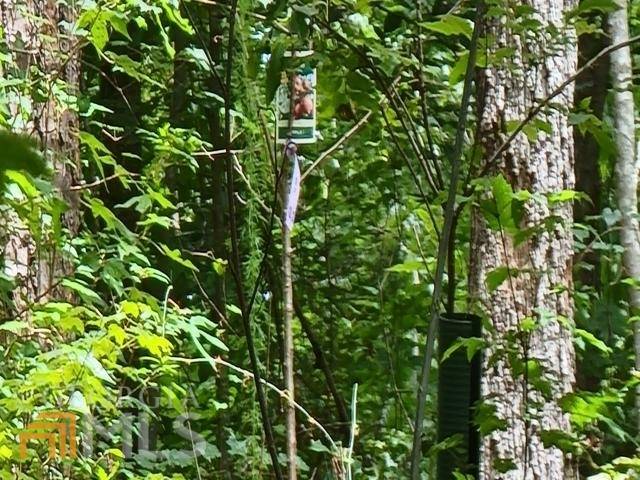 Martin, GA 30557,162 & 172 Valient DR