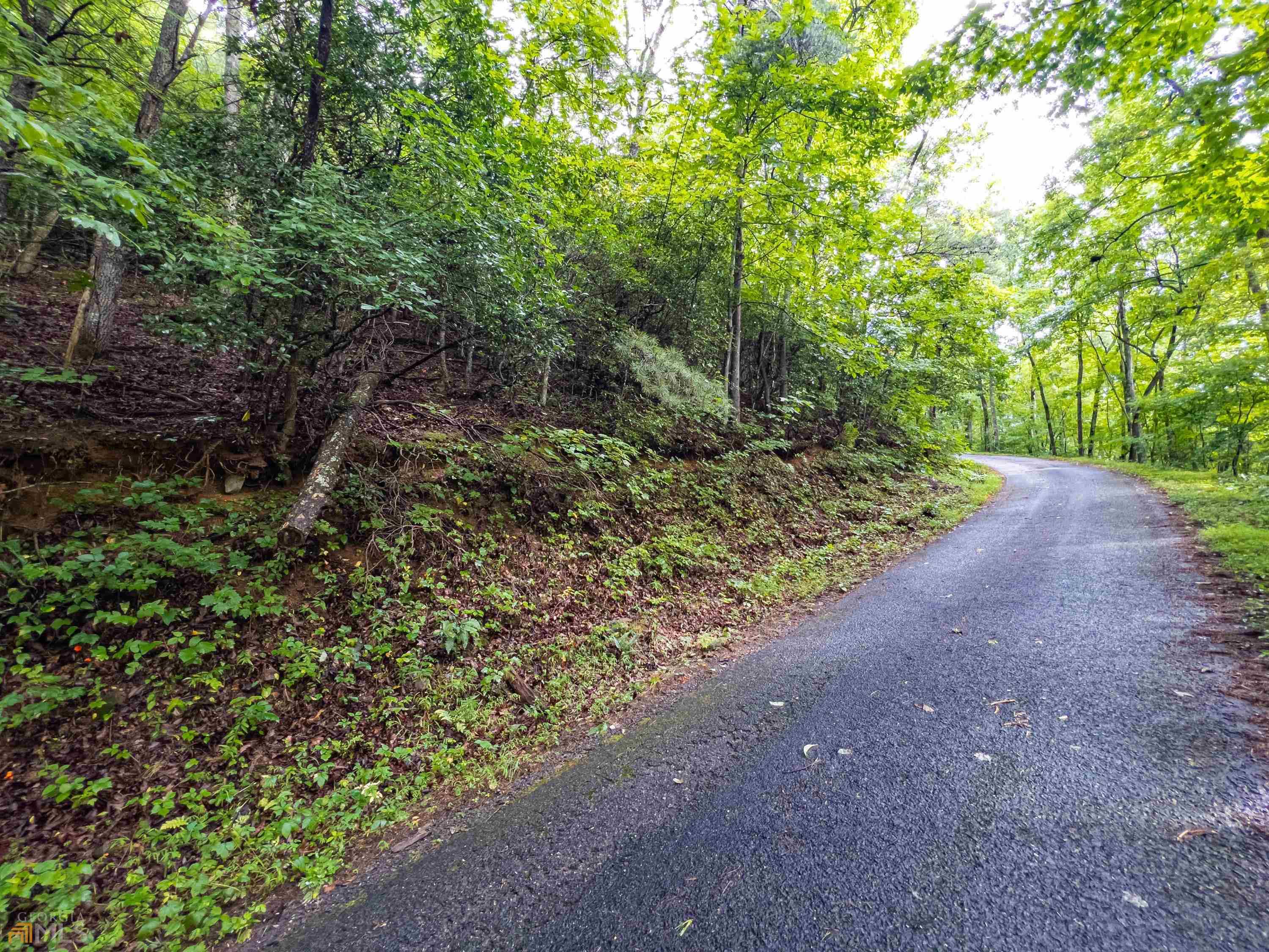 Hiawassee, GA 30546,LT4 White Oak Forest