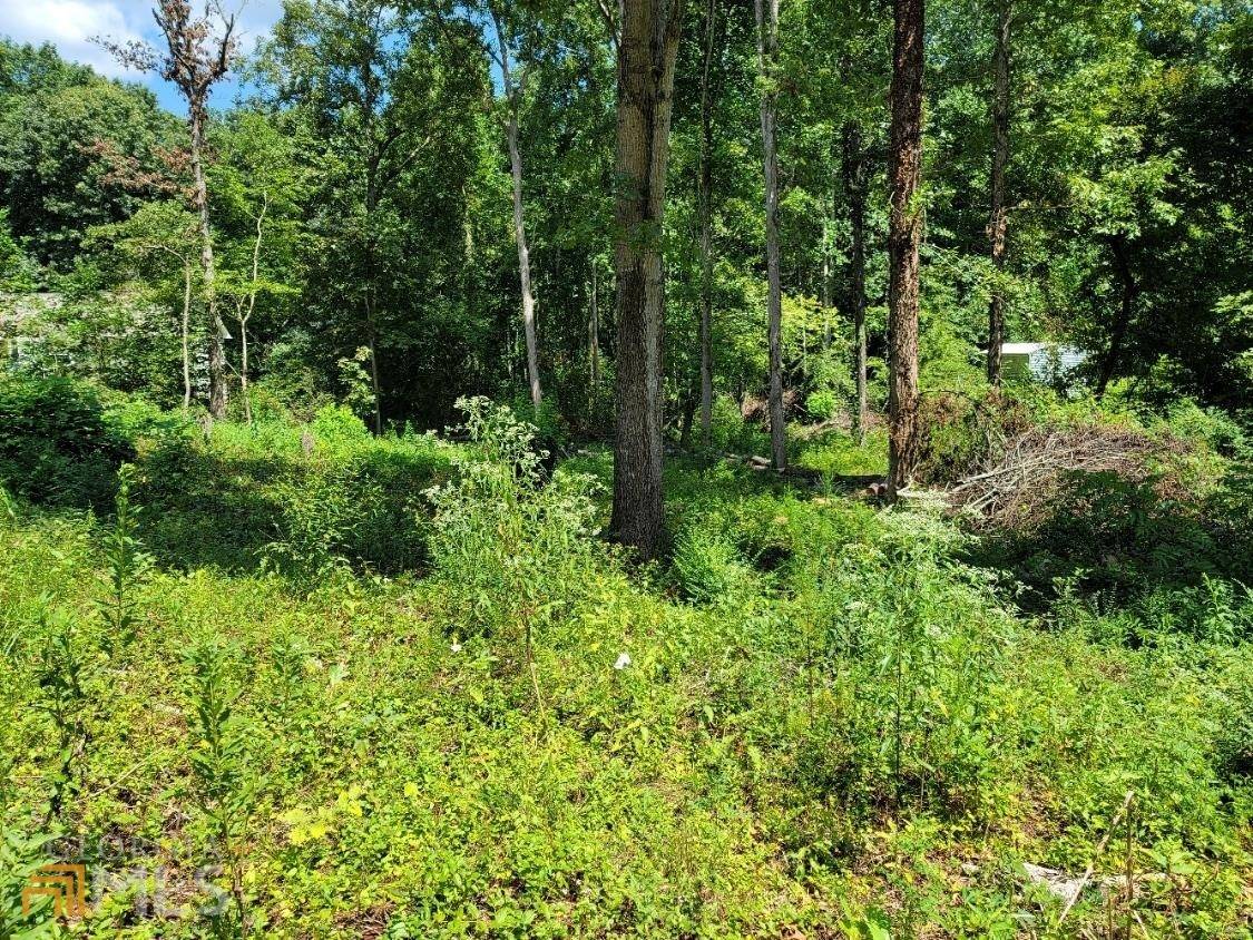 Clarkesville, GA 30523,0 Seth Cr