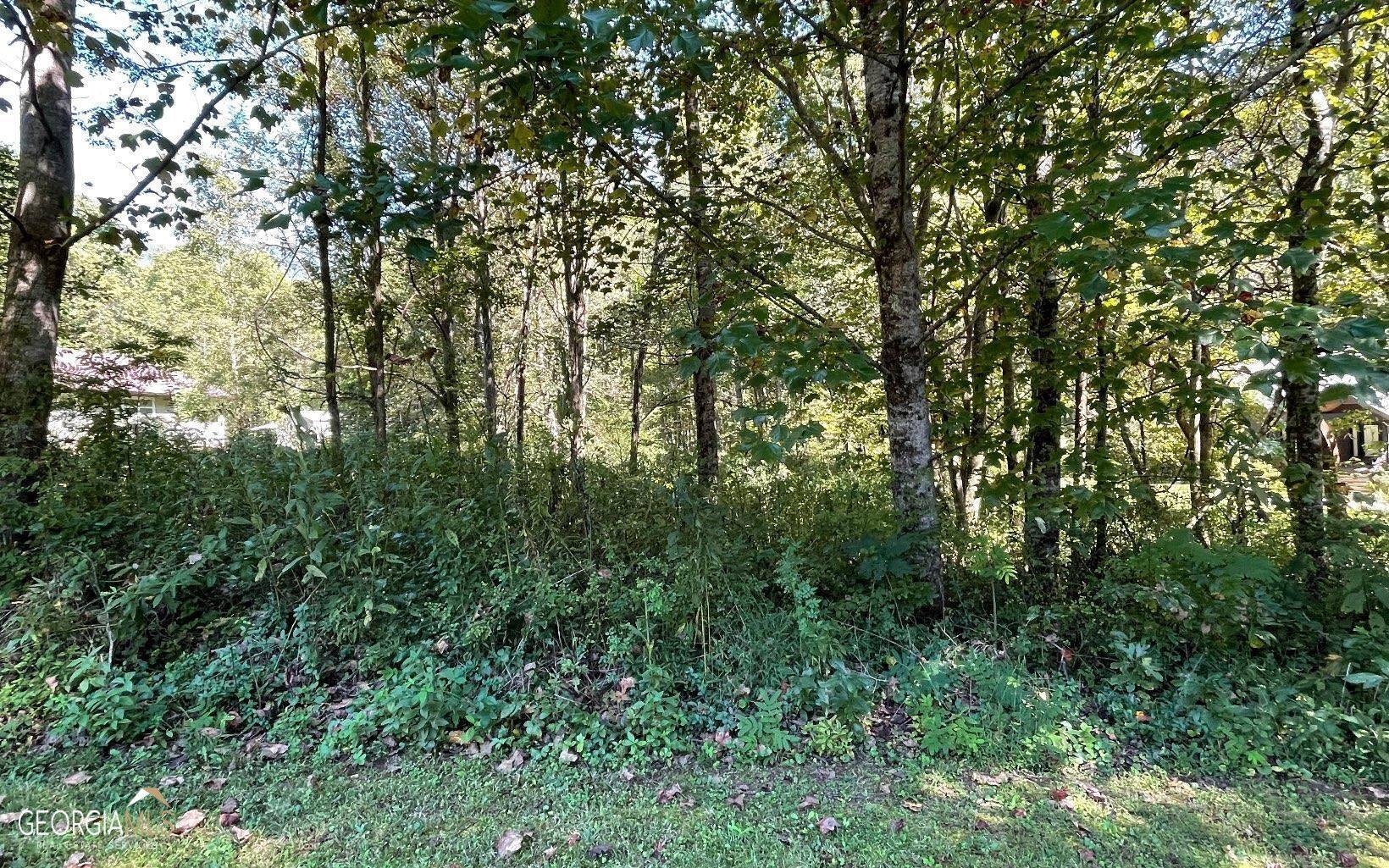 Hayesville, NC 28904,LOT 4 Conner LN