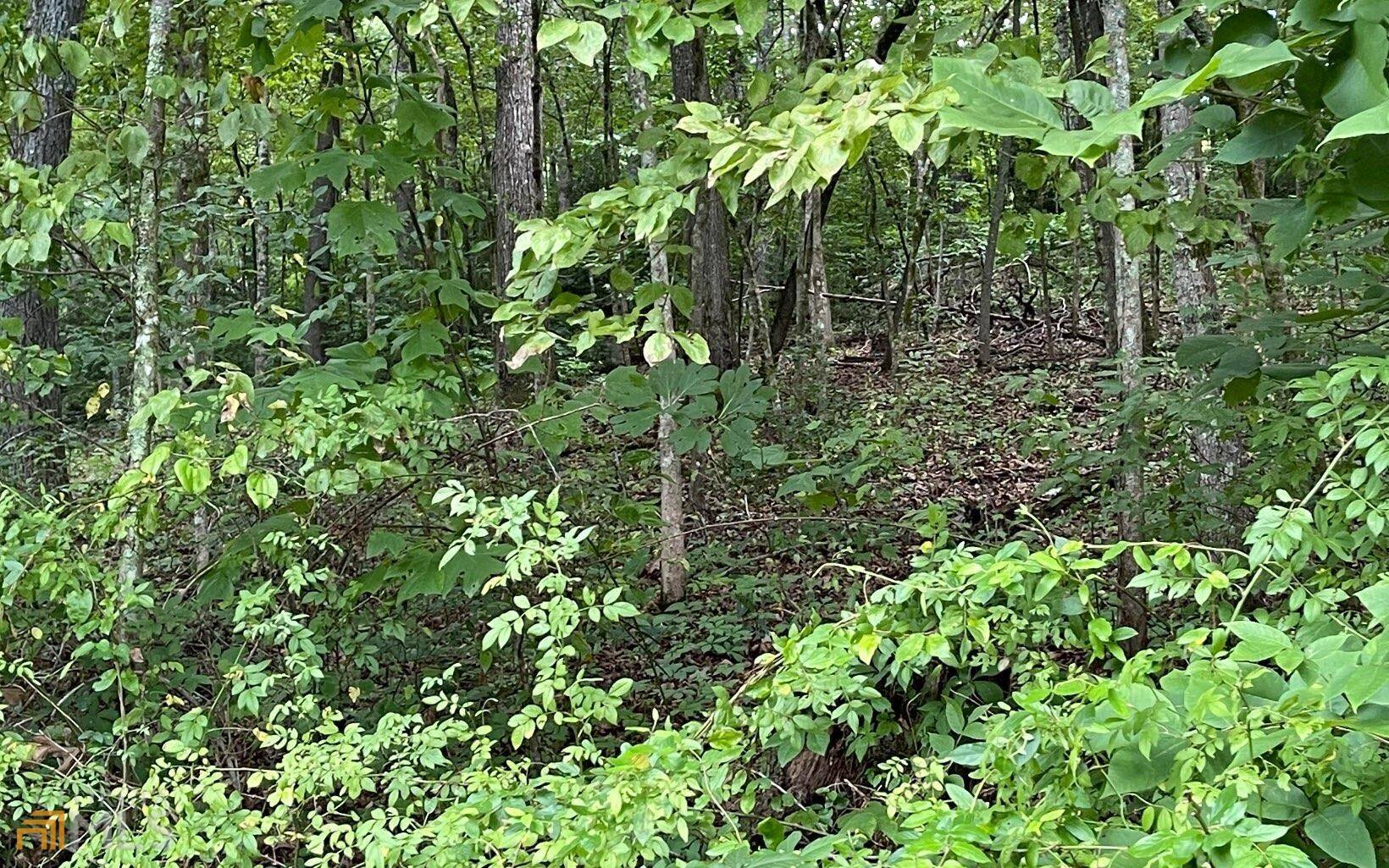 Hayesville, NC 28904,LOT 6A Kilpatrick Point TER