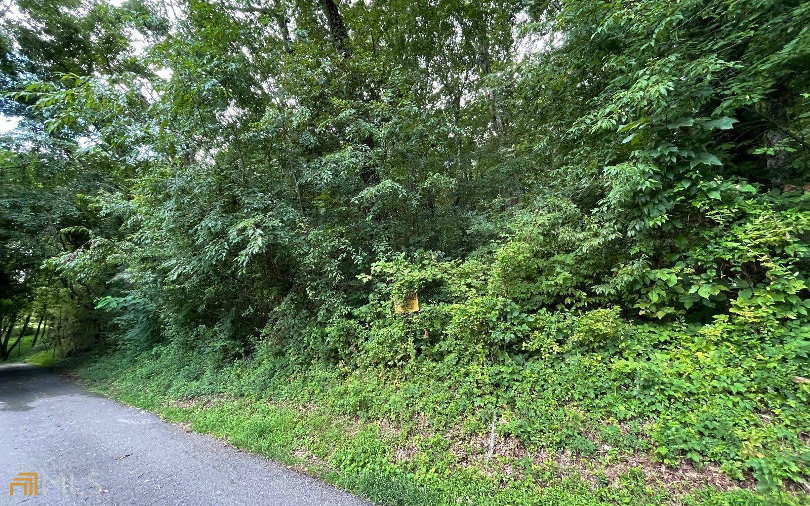 Hayesville, NC 28904,LOT 6A Kilpatrick Point TER