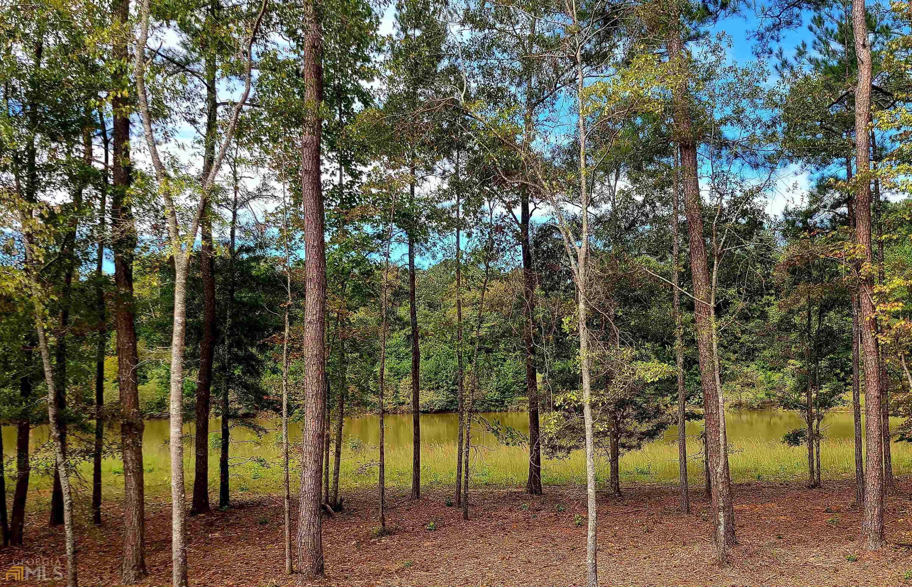 Moreland, GA 30259,LOT 18 Pond Oak