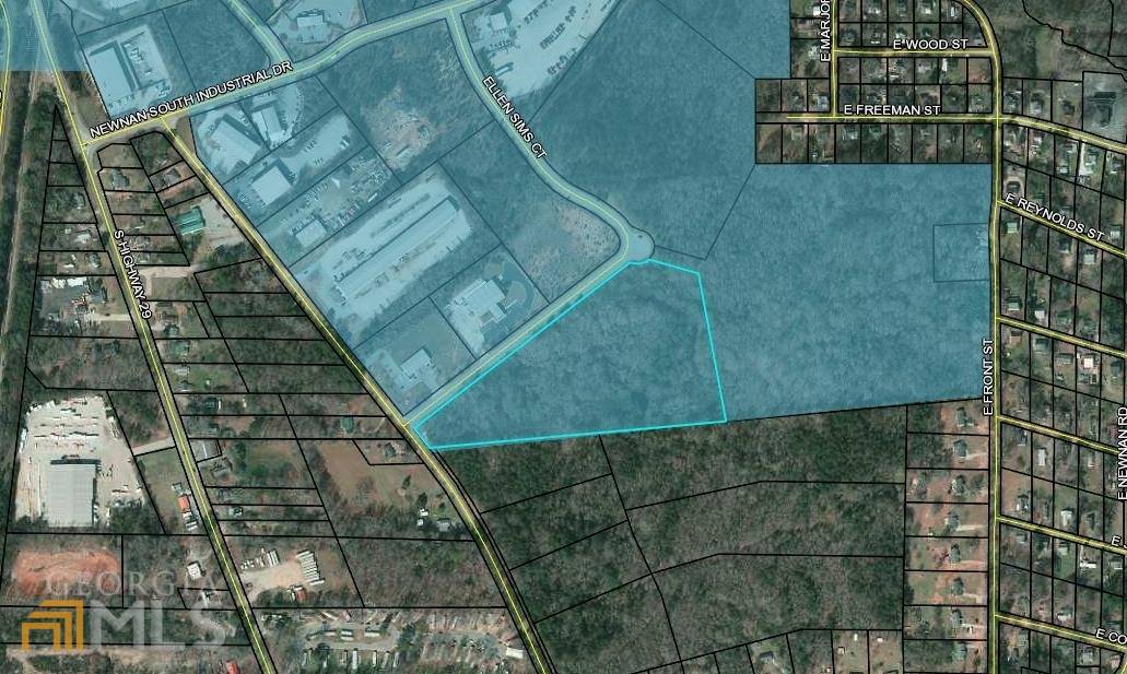 Newnan, GA 30263,0 Ellen Sims CT
