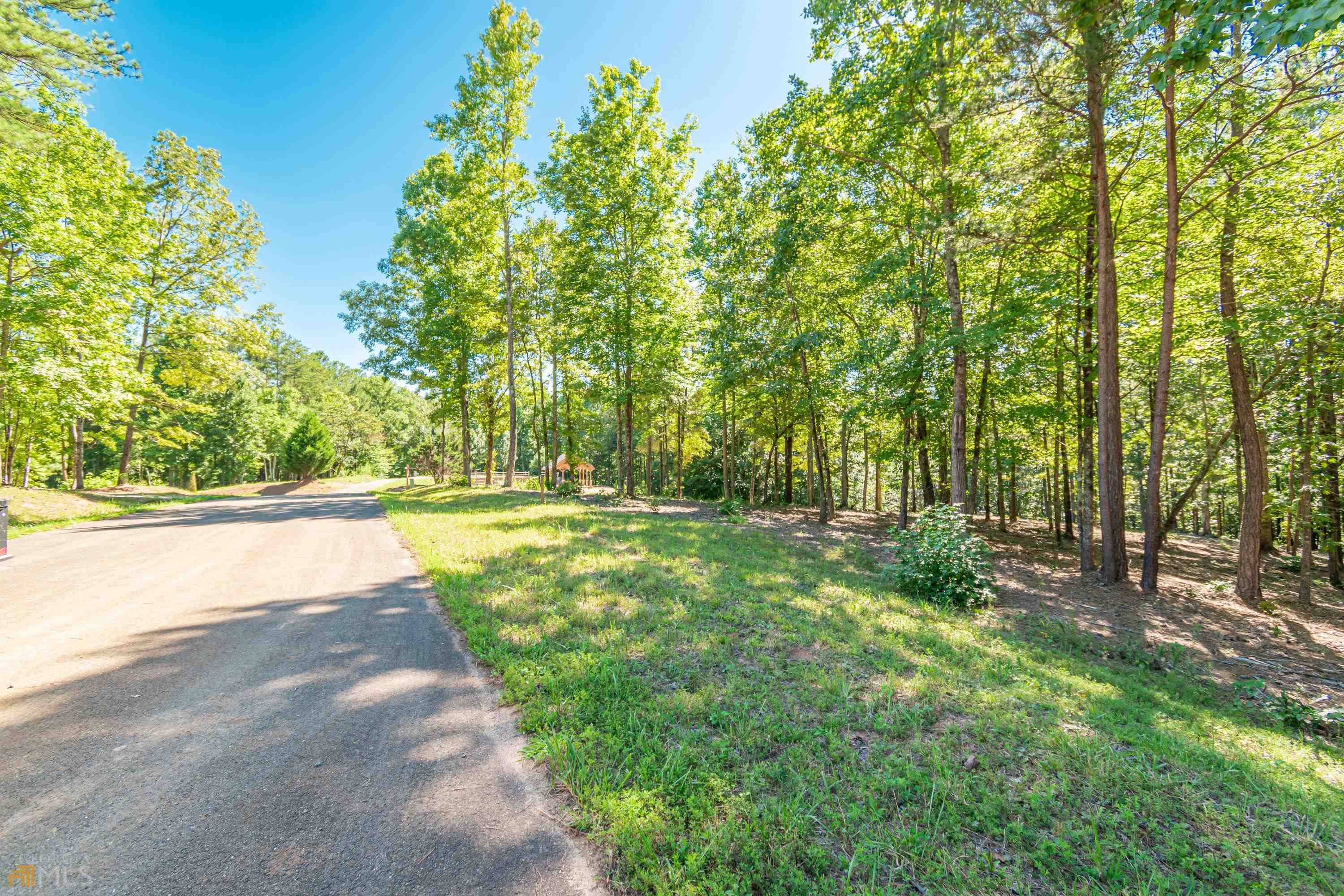 Talking Rock, GA 30175,1.67 Indian Trail RD