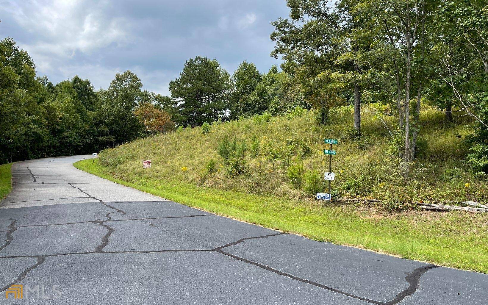 Hayesville, NC 28904,LOT 23 Dan Knob