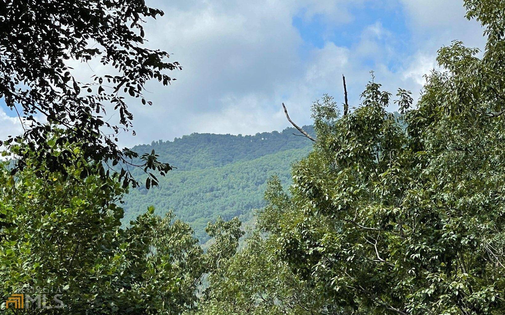 Hayesville, NC 28904,LOT 73 Fires Creek CV