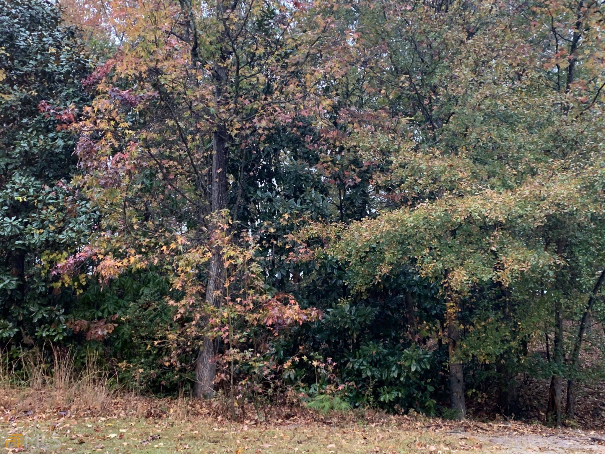 Gainesville, GA 30501,1753 Oak Tree HOLW