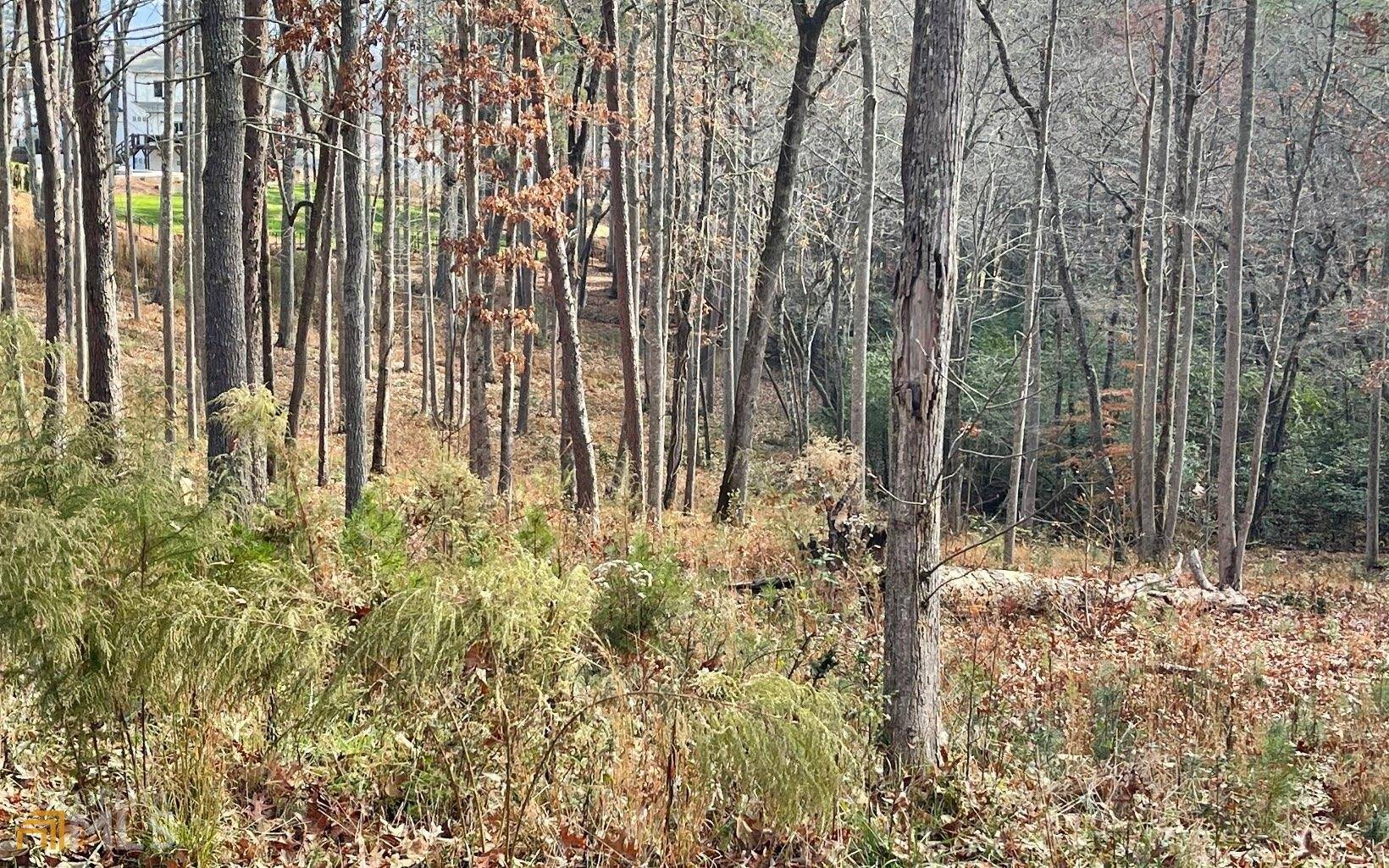 Blairsville, GA 30512,LOT 166 Highland Park