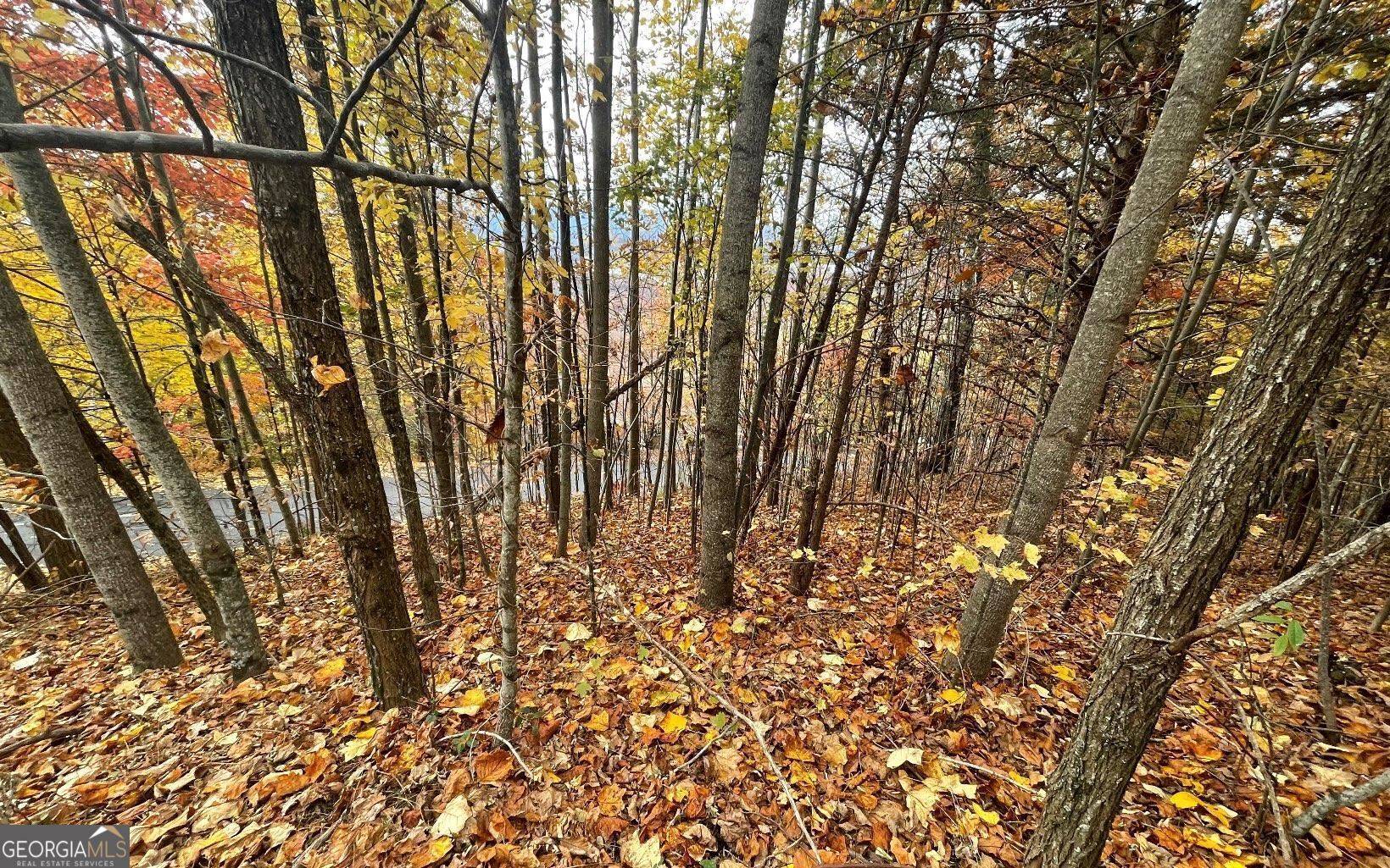 Hayesville, NC 28904,LOT 24B Grandview DR