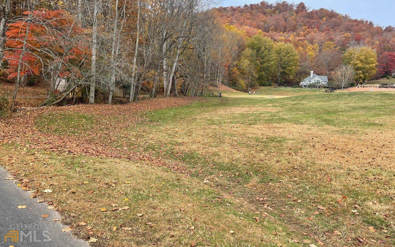 Hayesville, NC 28904,LOT 1D Mountain Harbour