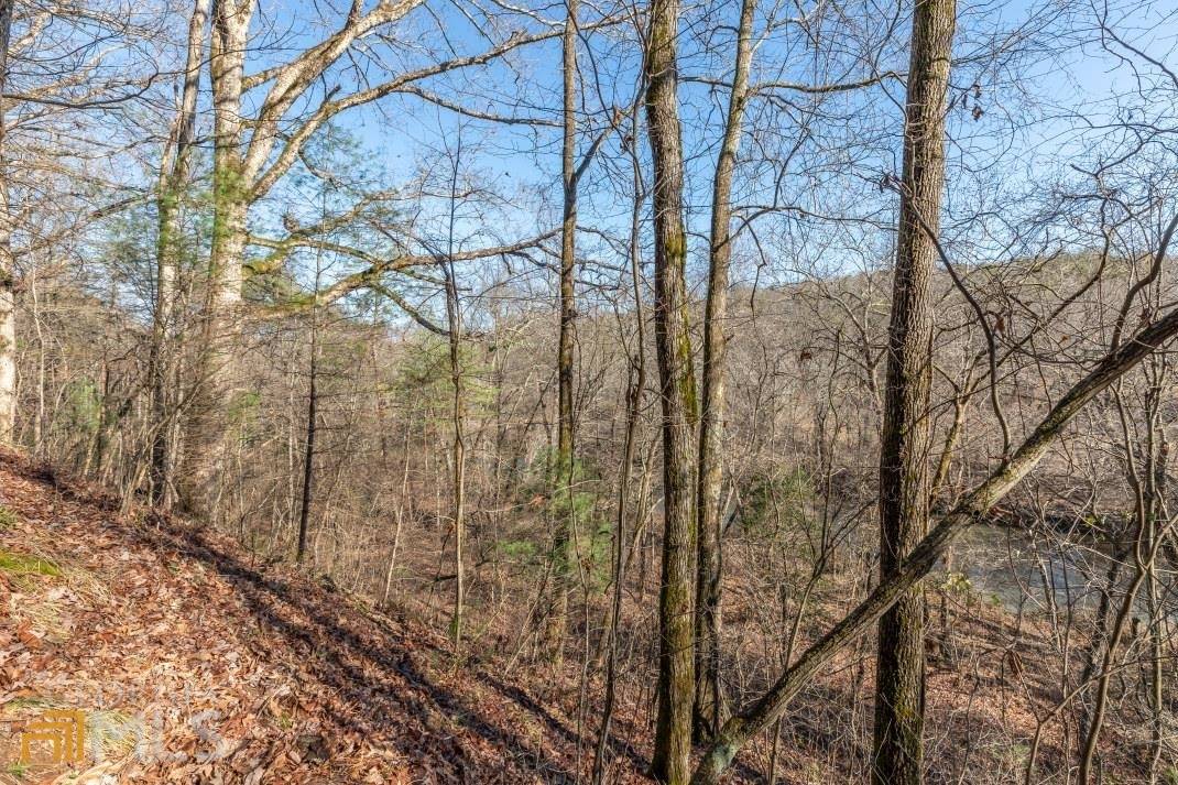 Ellijay, GA 30540,LOT 20 The Bluffs At Cartecay