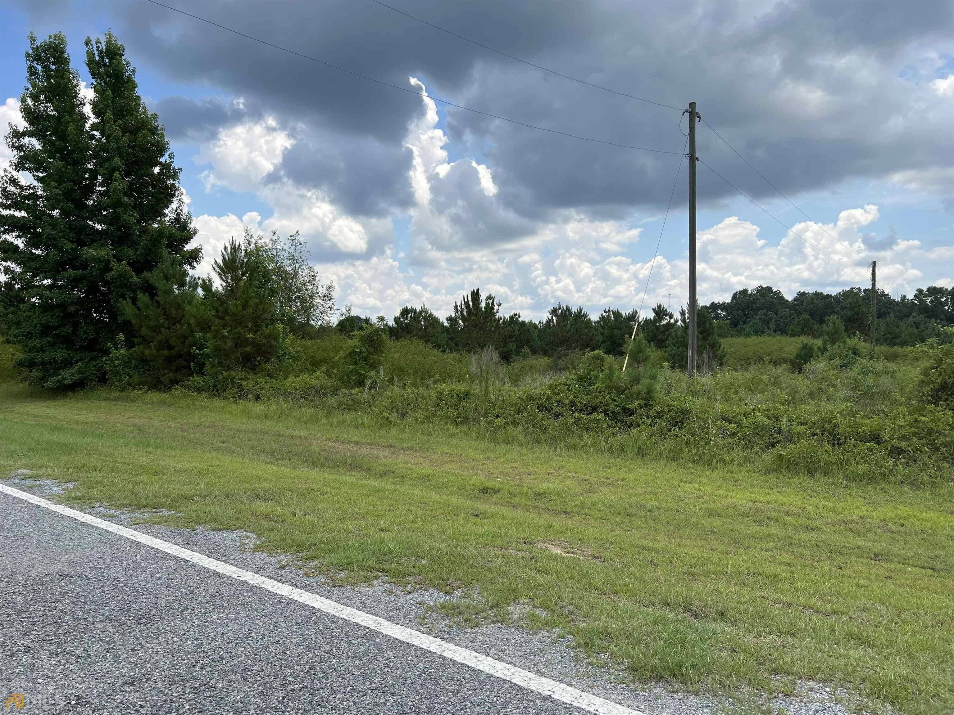 Dublin, GA 31021,729 Firetower