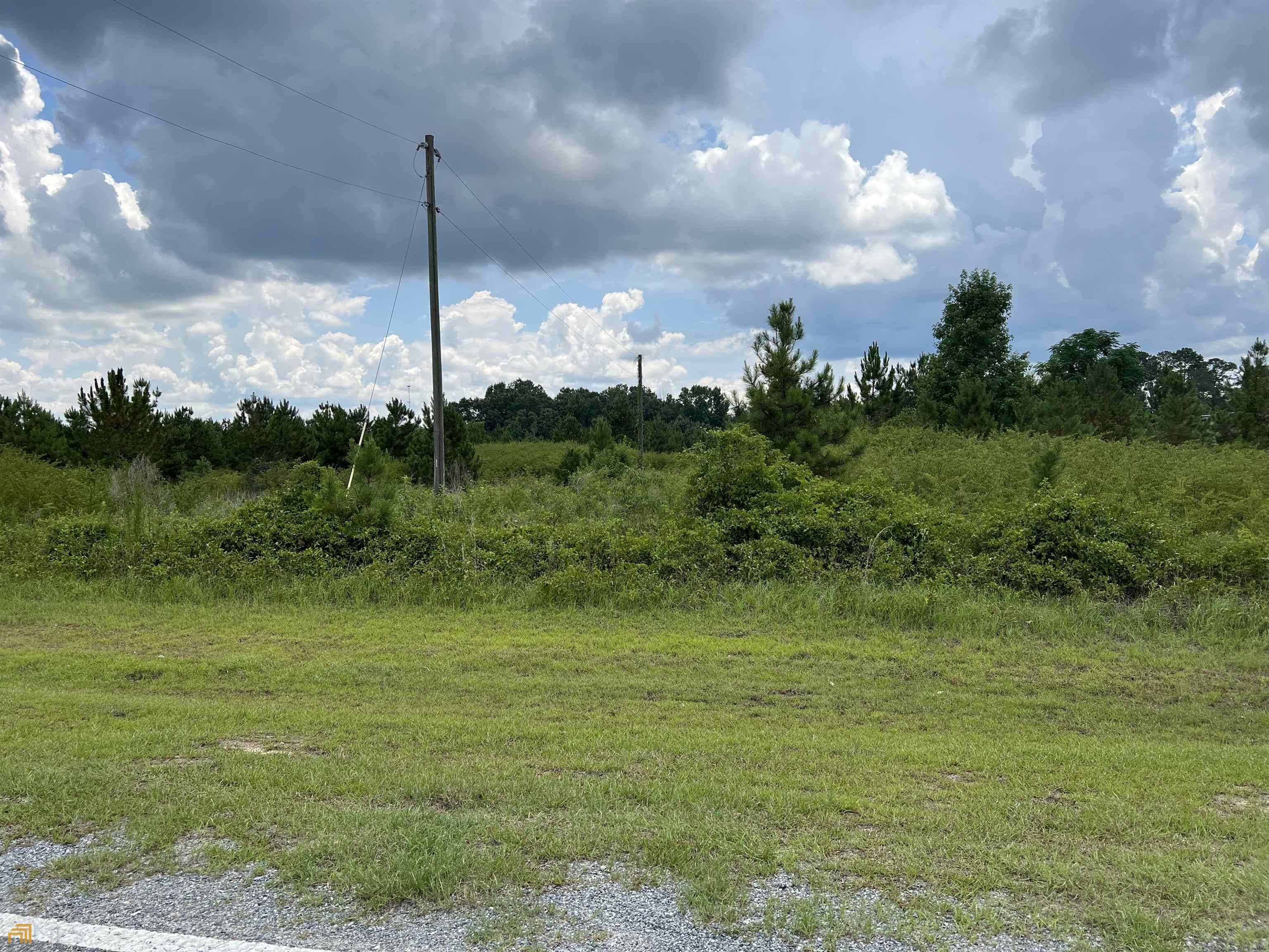 Dublin, GA 31021,729 Firetower