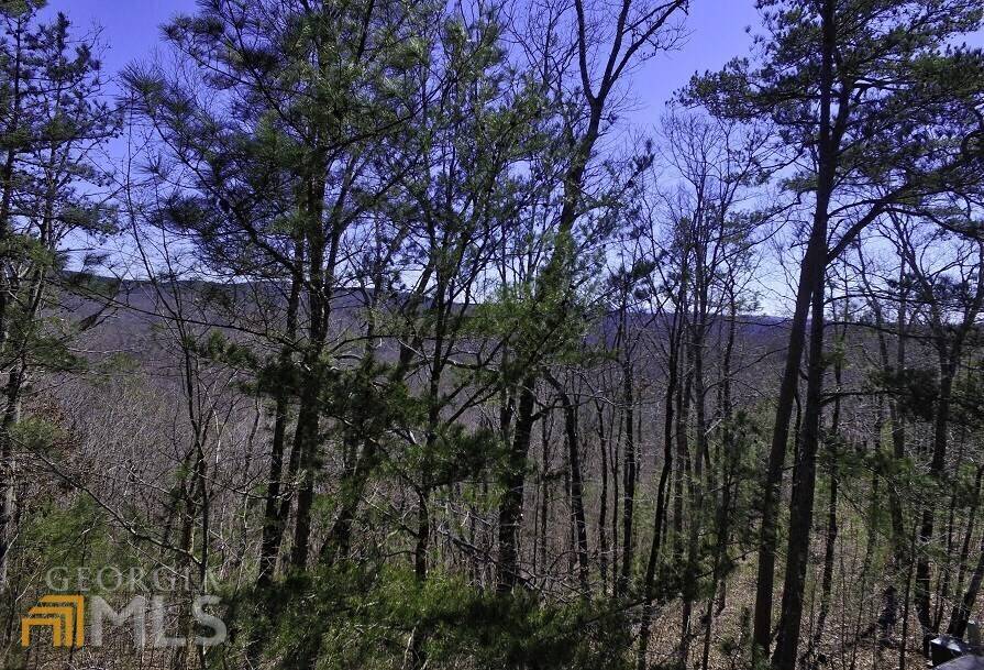 Ellijay, GA 30540,0 Doll Mountain