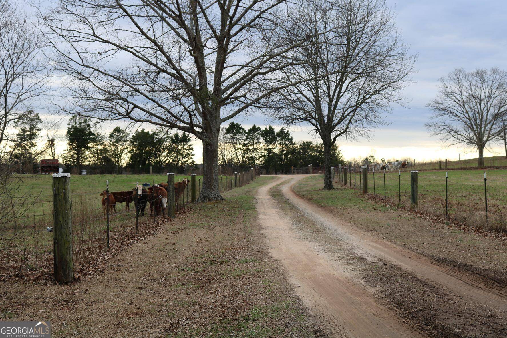 Royston, GA 30662,196 Brown Hendrix RD