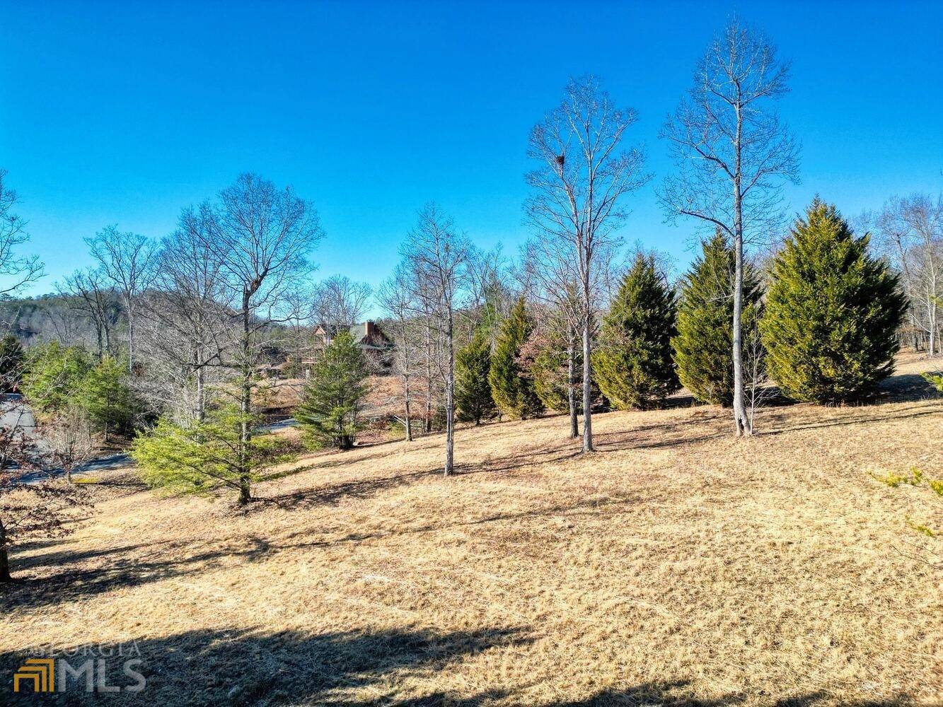 Young Harris, GA 30582,LT 11 Double Springs