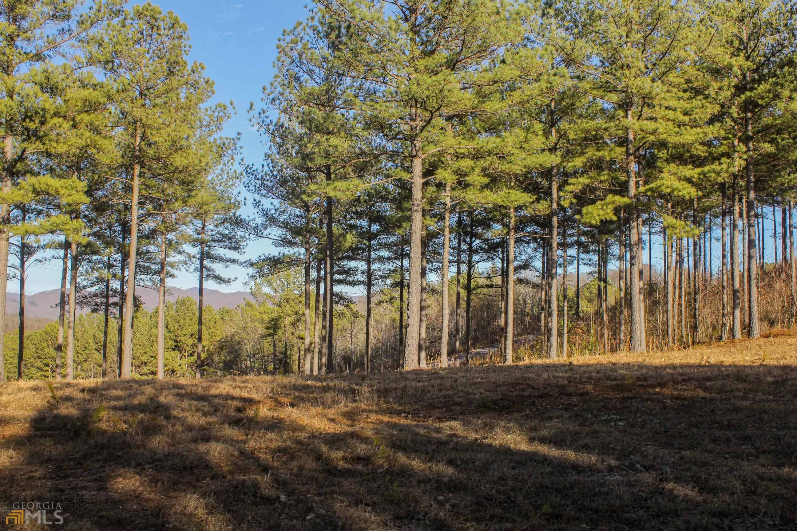 Blairsville, GA 30512,LOT 375 Marshall Rise