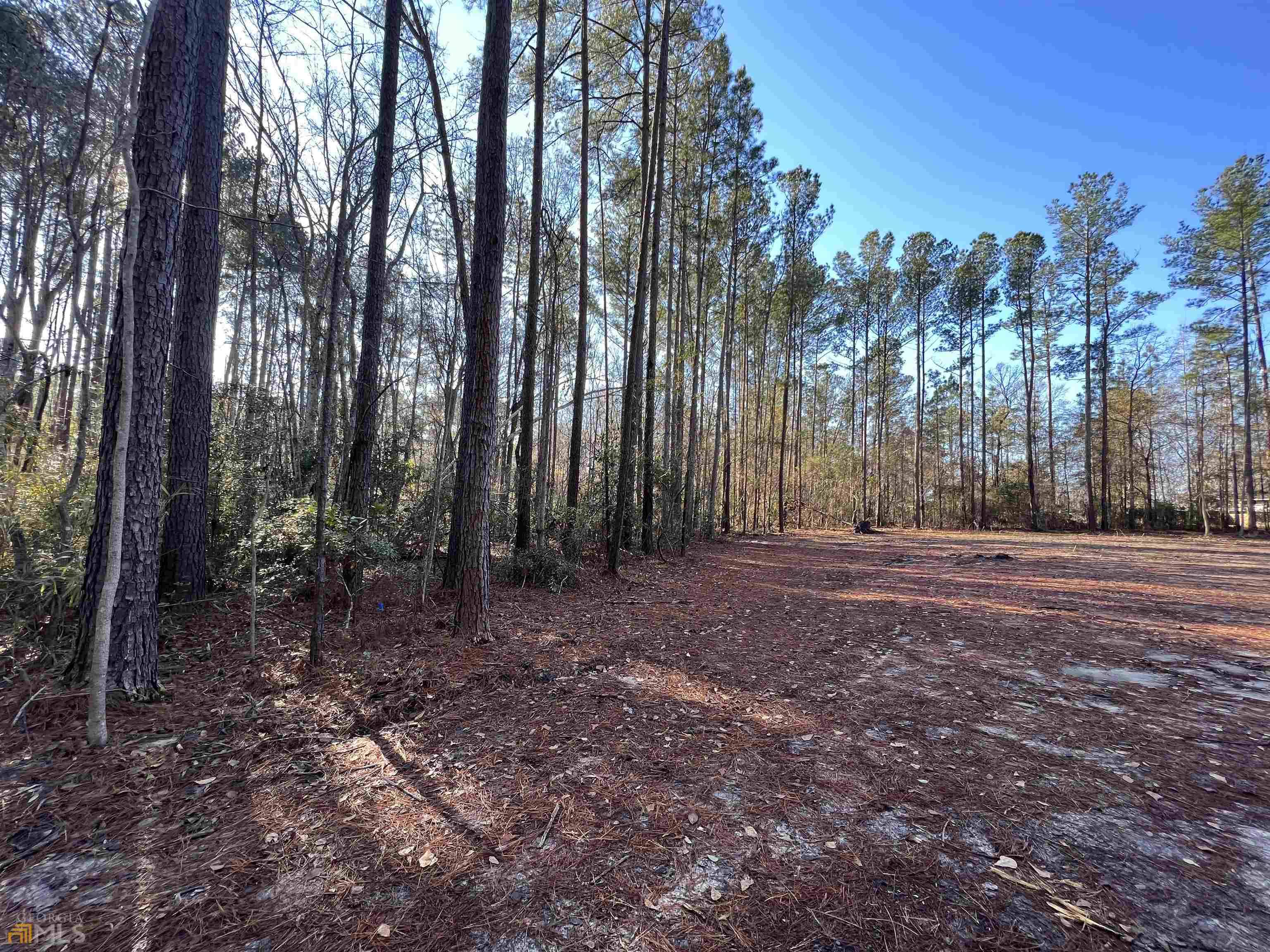 Statesboro, GA 30461,603 Depot DR