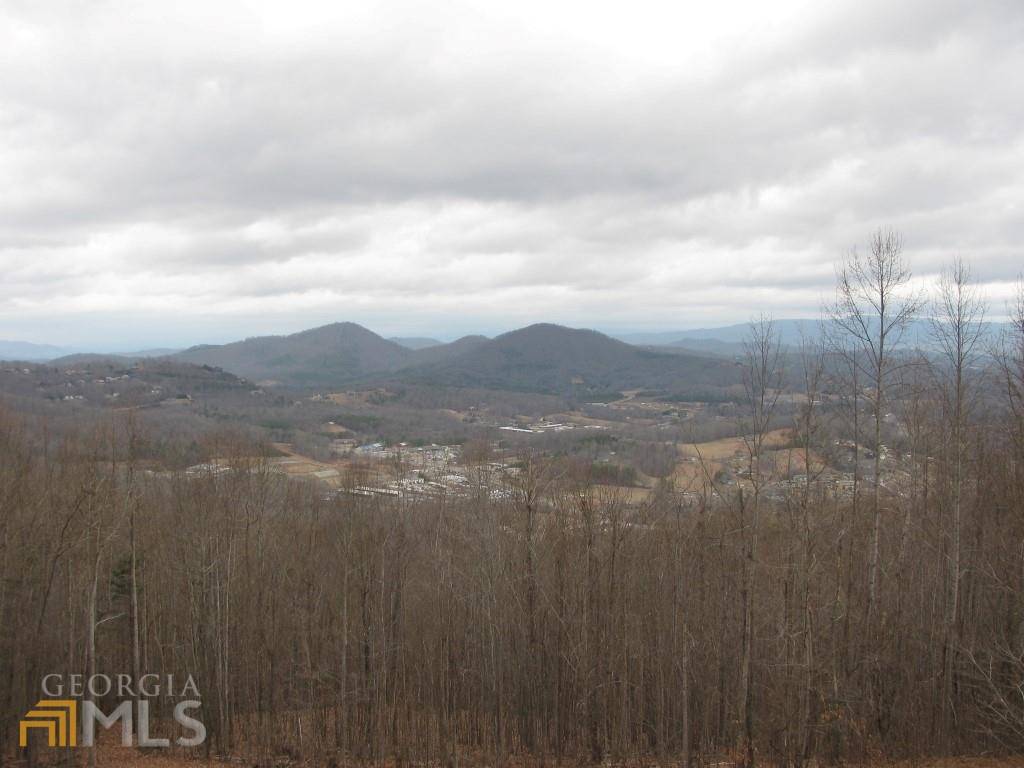 Hiawassee, GA 30546,0 Laurel Ridge