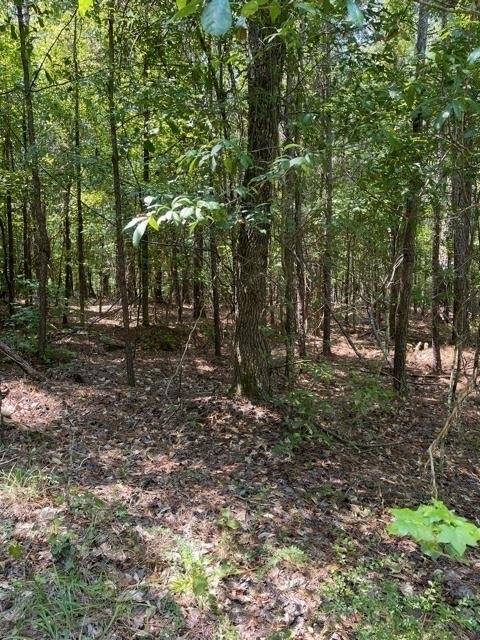 Lincolnton, GA 30817,LOT 59 Wisteria