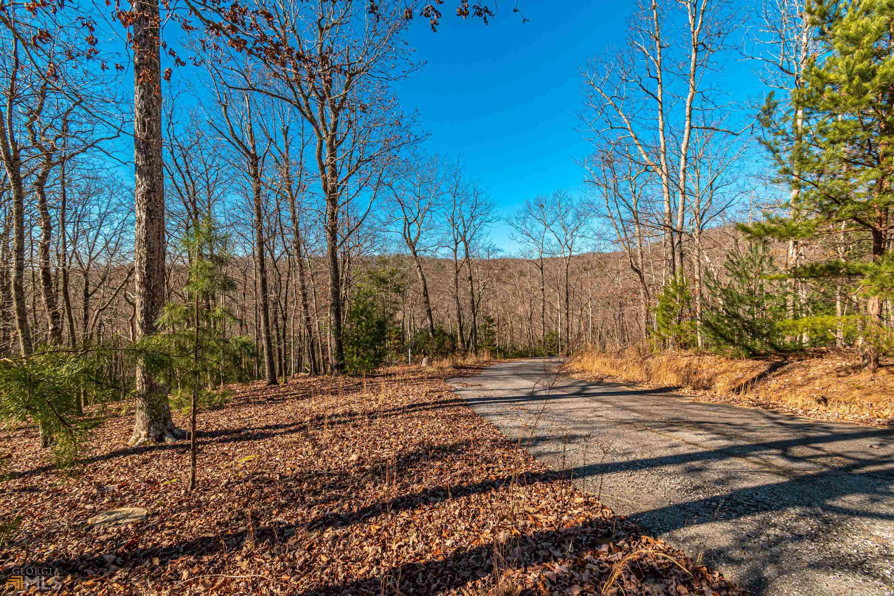 Morganton, GA 30560,1.82AC Chickadee Road