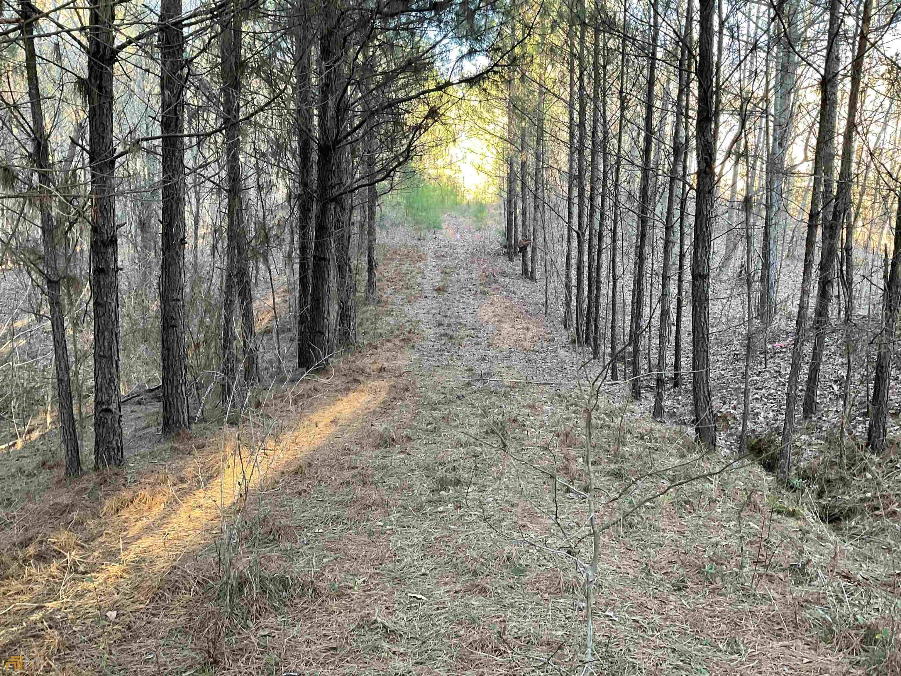 Monticello, GA 31064,0 Anna Claire Ct Lot 18