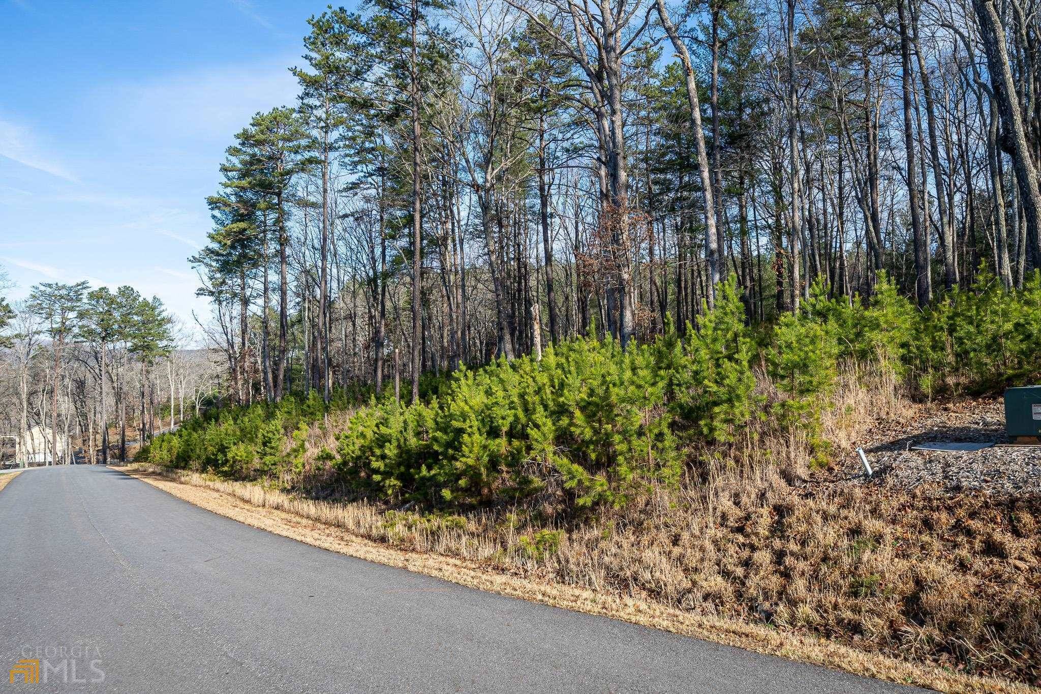 Blairsville, GA 30512,0 Rushing Waters Lot 233