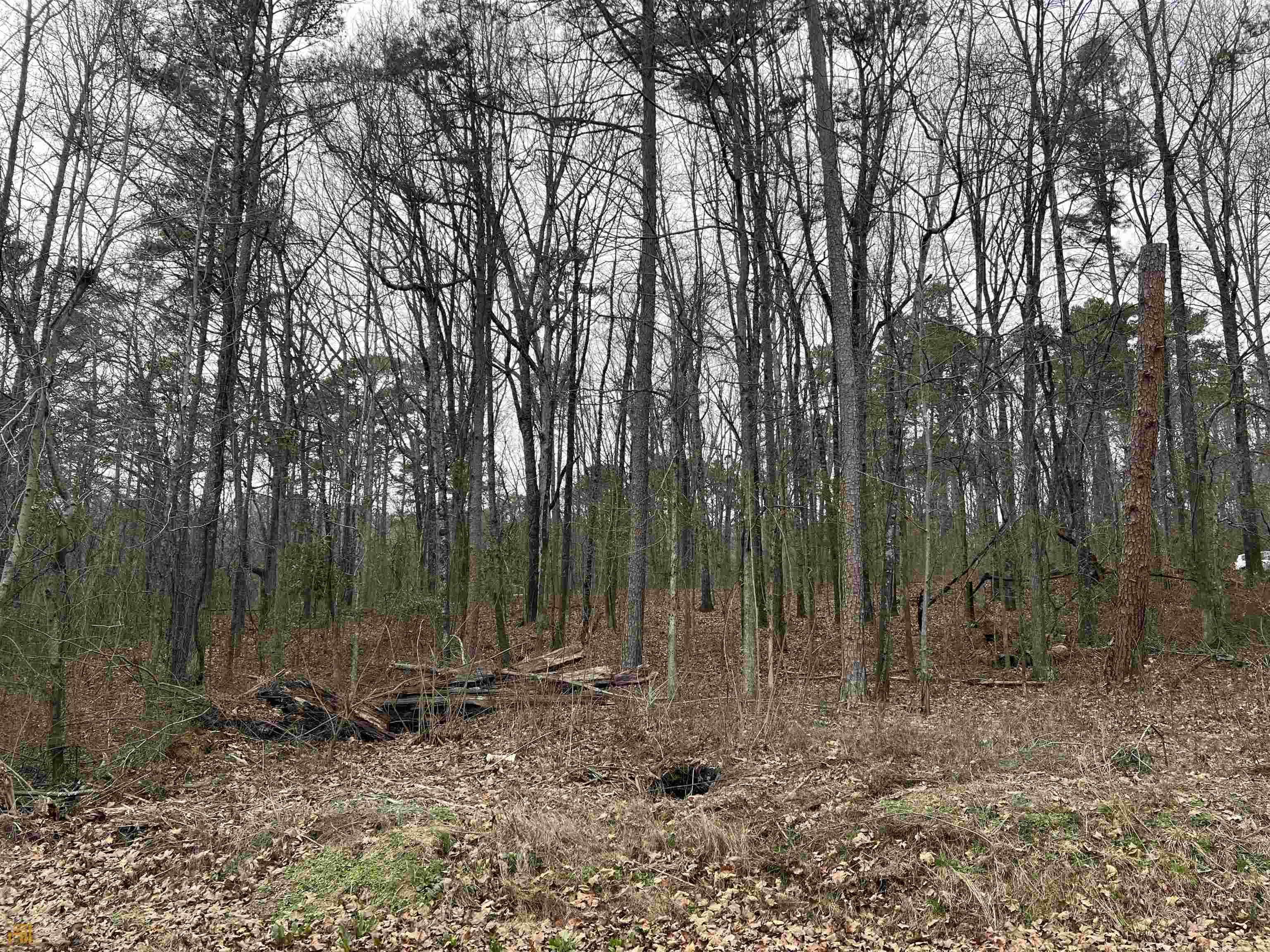 Rossville, GA 30741,LOT 5 Hogan