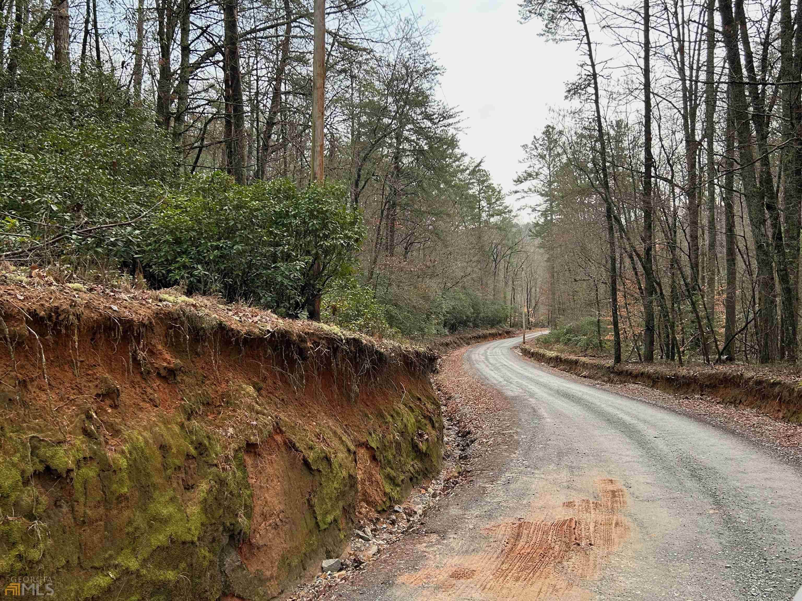Ellijay, GA 30536,LT 24 Fowler RD