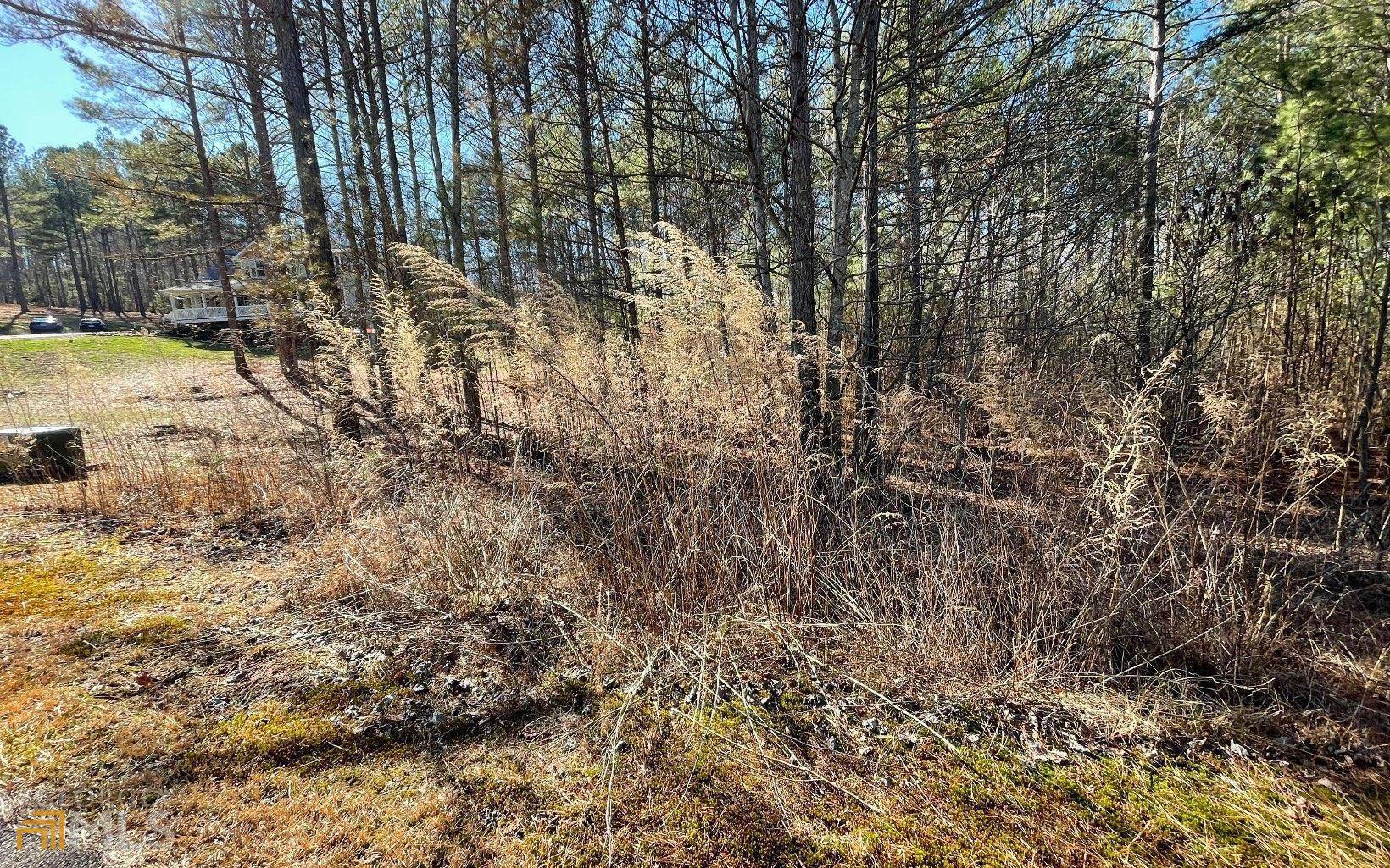 Blairsville, GA 30512,LOT 42 Loftis Mountain