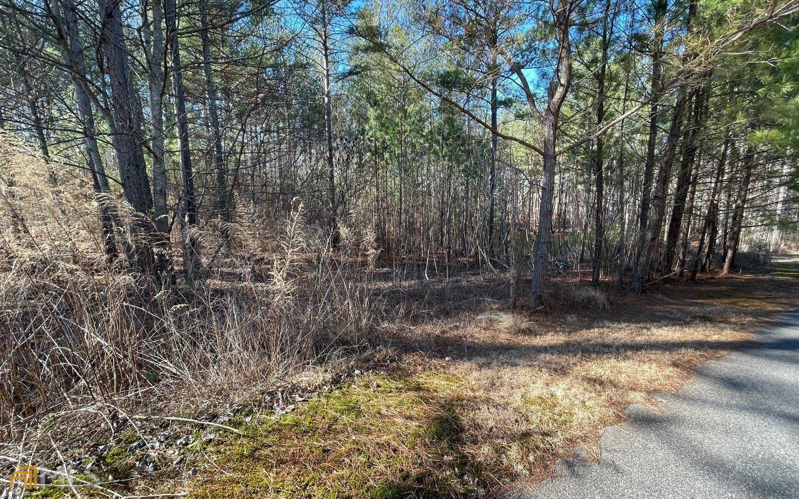 Blairsville, GA 30512,LOT 42 Loftis Mountain