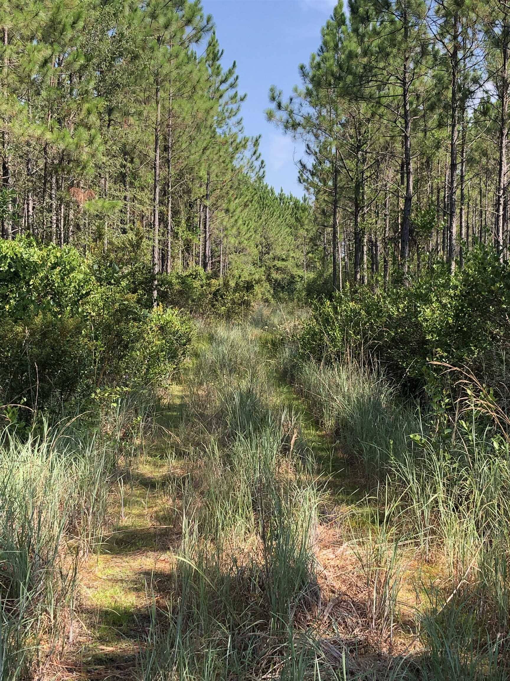 Waycross, GA 31503,0 Valdosta HWY