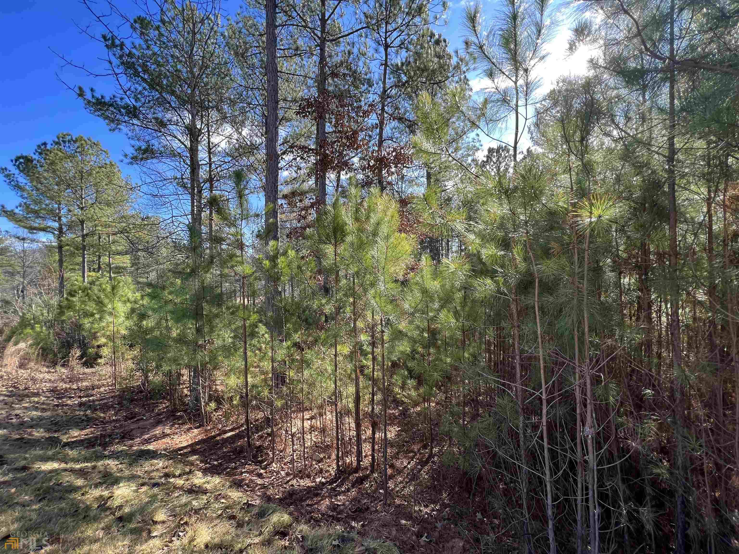 Blairsville, GA 30512,0 Sandy Lake LN